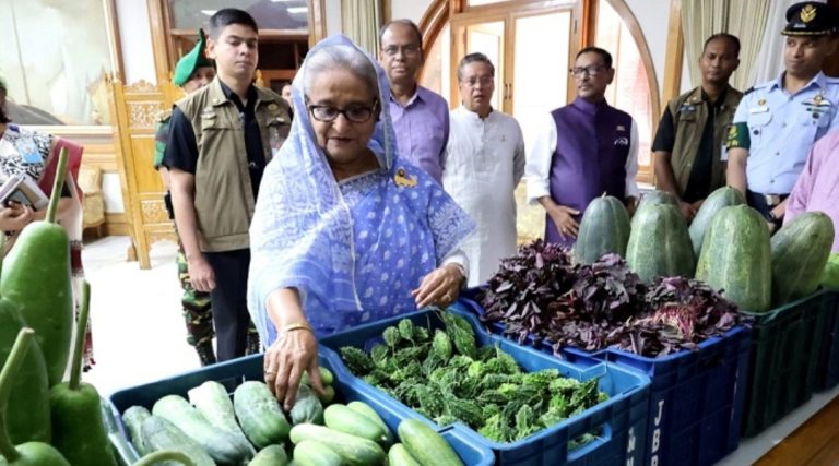 টুঙ্গিপাড়া ও কোটালীপাড়ায় পতিত জমিতে উৎপাদিত সবজি-ফলমূল গণভবনে