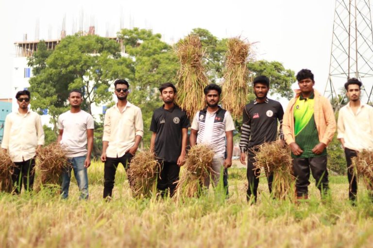 দরিদ্র কৃষকের জমির ধান কেটে দিলো পলিটেকনিক ইন্সটিটিউট শাখা ছাত্রলীগ